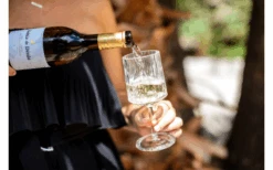 Berger Wijnglas Set Van 2 -Berger 594239 4331207