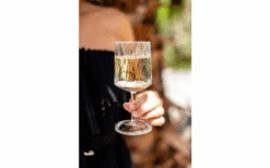 Berger Wijnglas Set Van 2 -Berger 690069 4697631